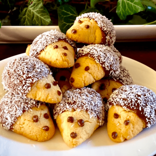 HEDGEHOG BISCUITS/COOKIES